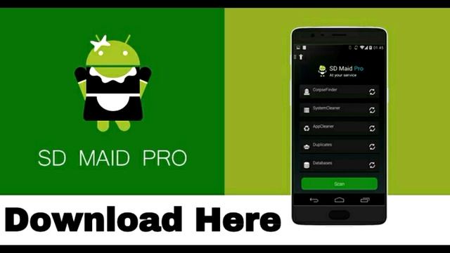 SD MAID APK PRO (DOWNLOAD  HERE)