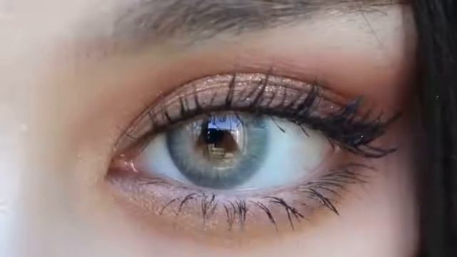 MOONZI purple violet circle contact lens small Beauty Pupil Colored Contact Lenses for eyes yearly