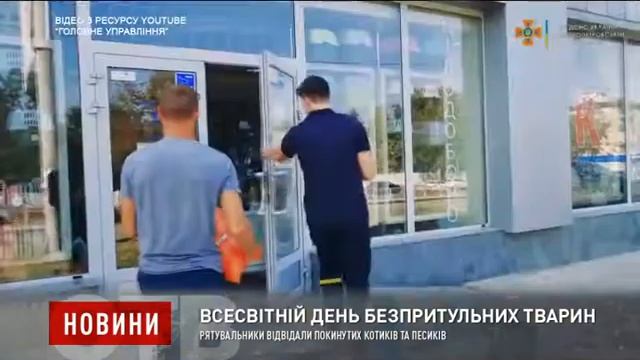 Рятувальники відвідали покинутих котиків та песиків