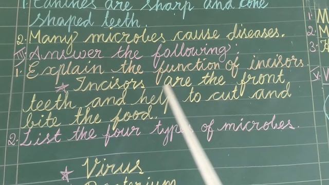 Teeth and Microbes (Part-2)