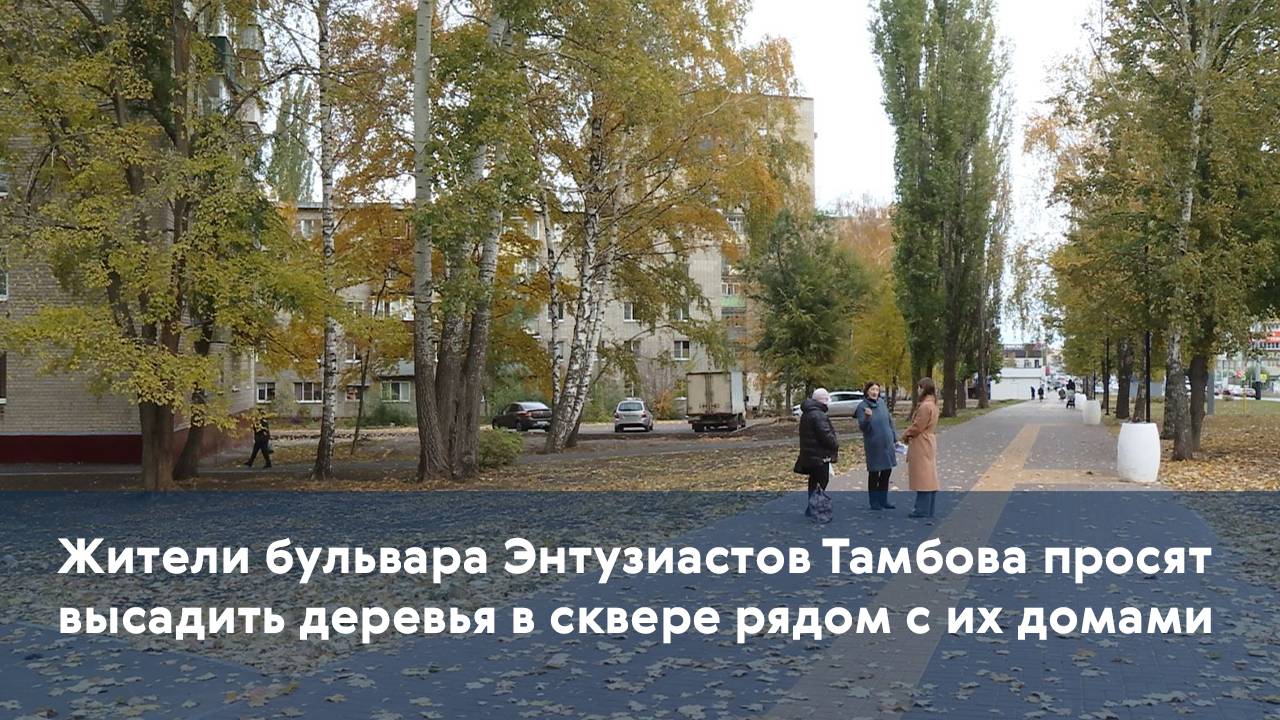 Жители бульвара Энтузиастов Тамбова просят высадить деревья в сквере рядом с их домами