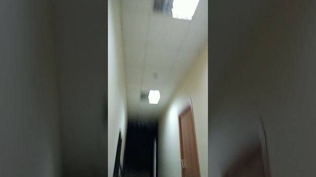 VID_20241024_142408.mp4