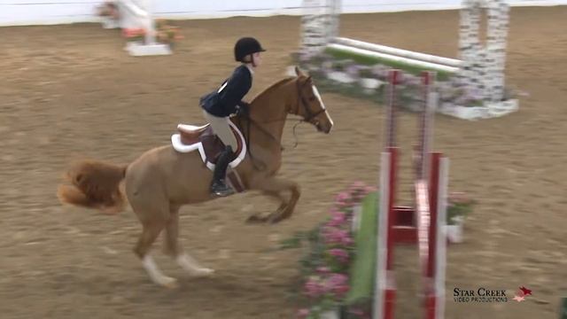 Natalie Coffin & Say Hello - Childrens Pony Htr Sunday - Ledges A1 Mar 2019