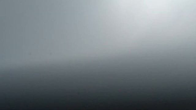 Seilwurm. Рост верёвочного червя в среде красного вина