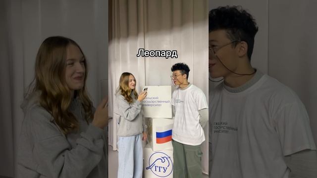 Блиц Блиц, скорость без границ💥🌟