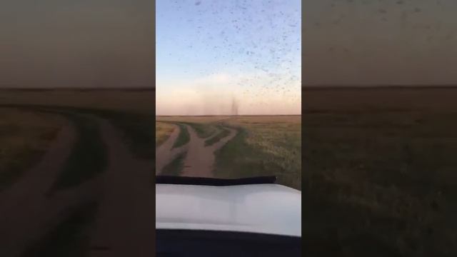 Мошкара