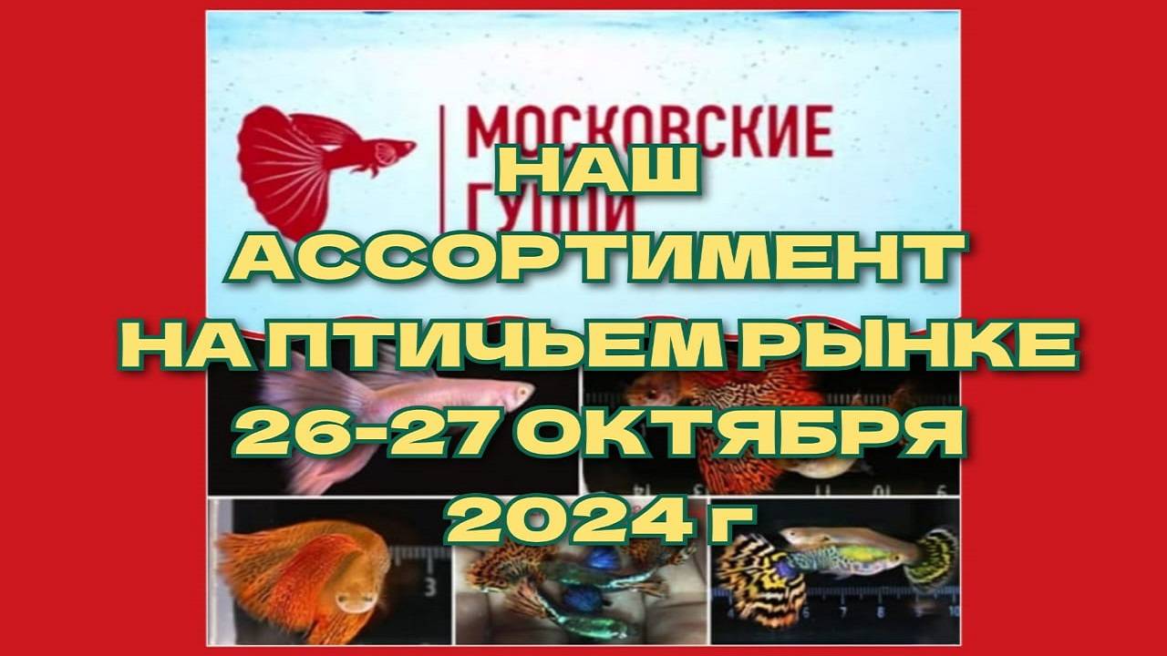 НАШ АССОРИМЕНТ НА ПТИЧЬЕМ РЫНКЕ 26-27 ОКТЯБРЯ 2024 года.