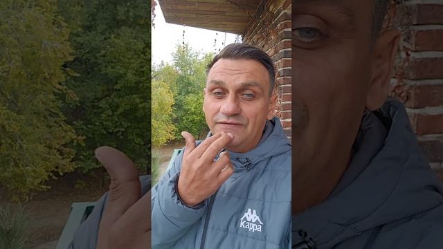 обнуление негативных эмоций