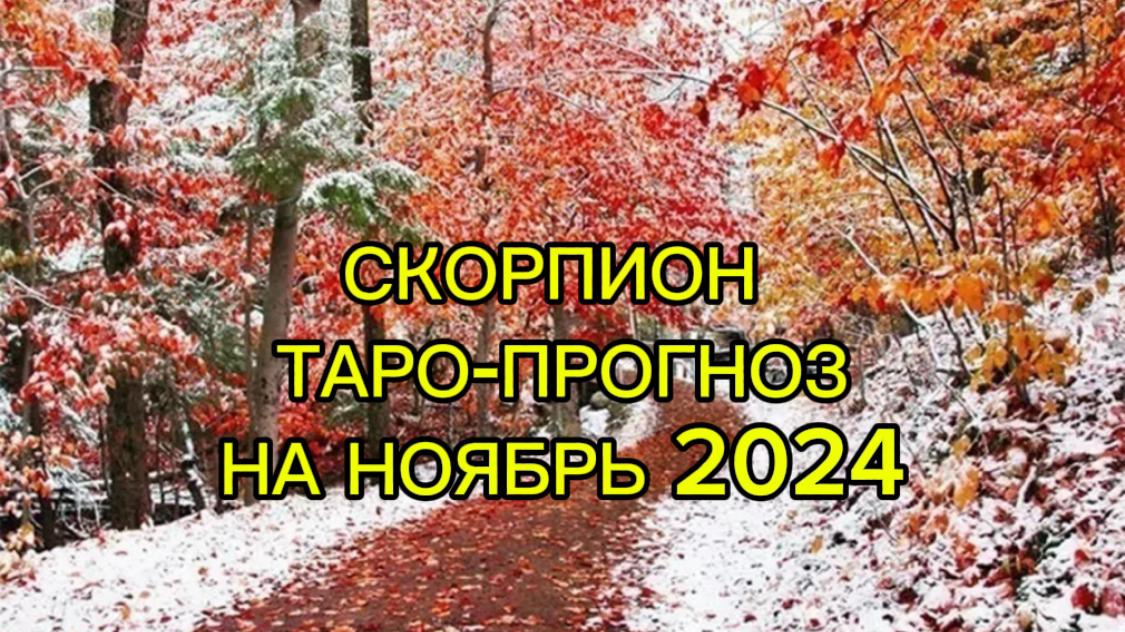 СКОРПИОН/ТАРО-ПРОГНОЗ/НОЯБРЬ2024