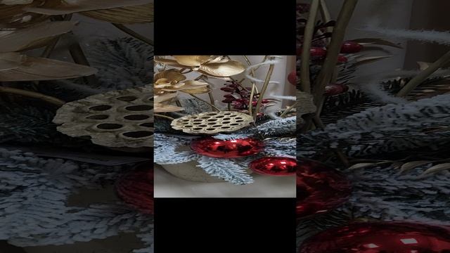 1000256407.mp4