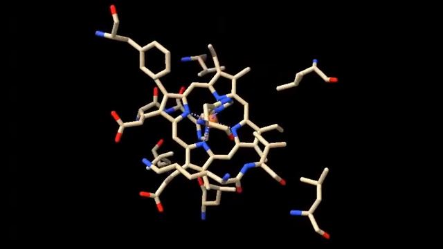 Фрагмент четвертичной структуры молекулы альфа-гемоглобина человека