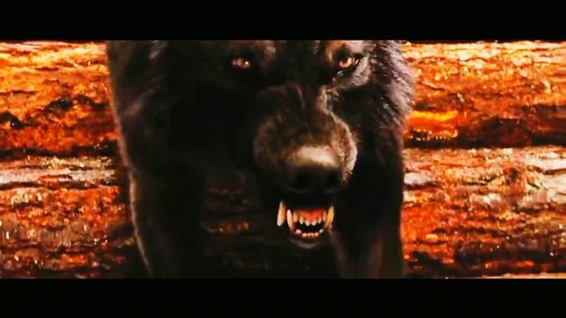 Совместка с Gor Nes(Сумерки/Я одинокий волк/Там)