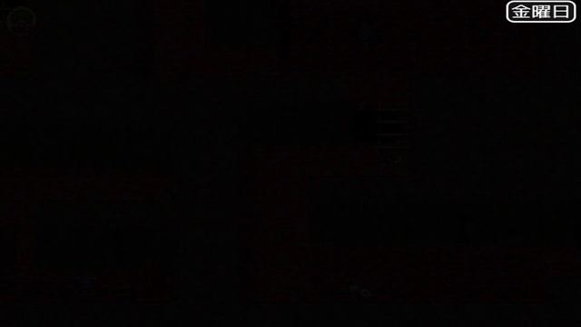 幽香-散らばった大妖怪の欠片- (Gameplay) -5