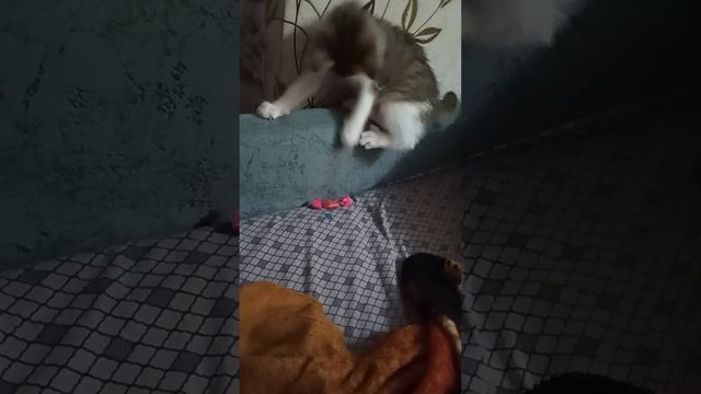 1000049224.mp4