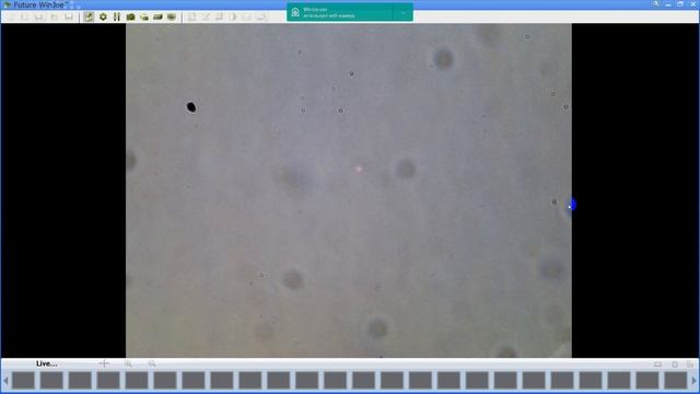 4 Ракушка с Азовского моря. Микроскоп.