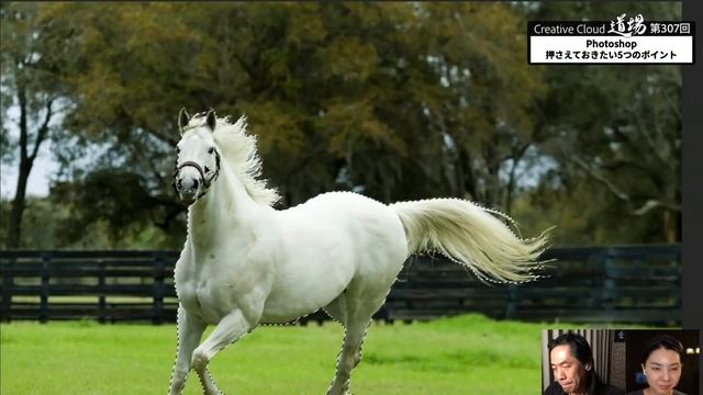 【CC道場 #307】Photoshop 押さえておきたい5つのポイント - アドビ公式