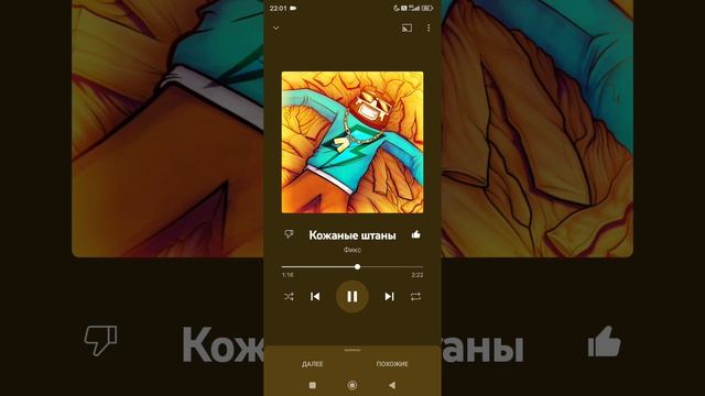 КОЖАНЫЕ ШТАНЫ ФИКС 1.000.000