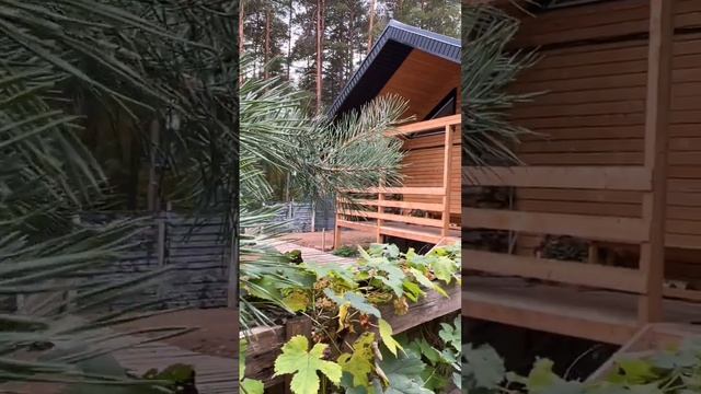 Другая баня - мы наполняем теплом ❤