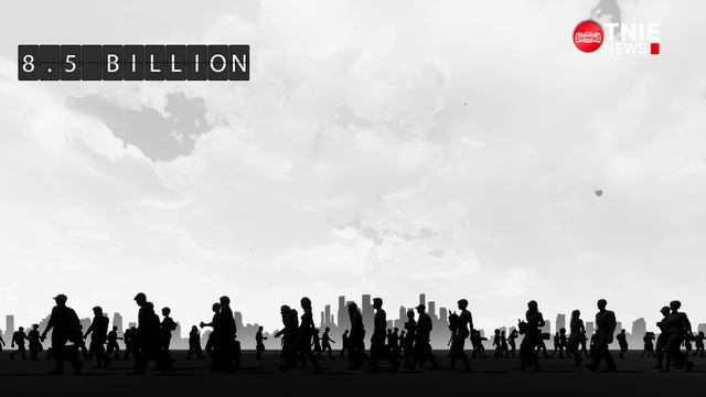 World population at 8 billion humans, still growing