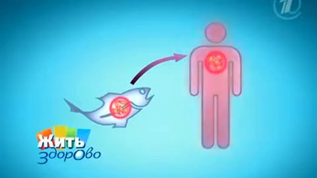 Описторхоз. Как защитить свою печень от паразитов