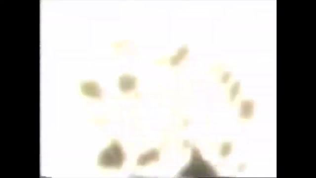 Toonami Midnight Run Lineup Promo Collection (October 1999)