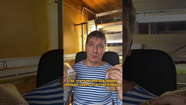 Все лучшее - кошкам