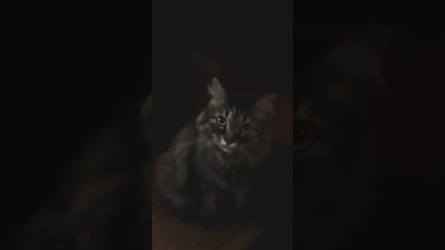 YouCut_20240507_210503755.mp4