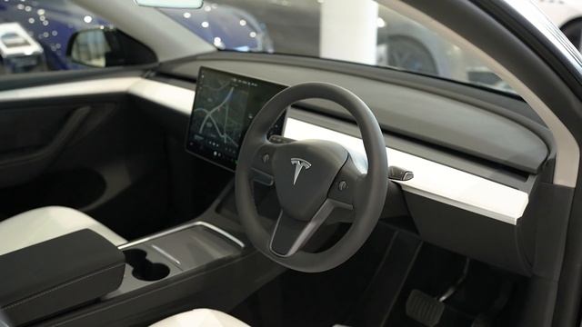 #22810   Tesla Model Y Long Range Dual Motors   0CC, Automatic, 2022