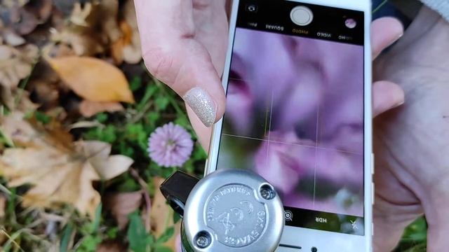 Roosa ristik läbi mikroskoobi