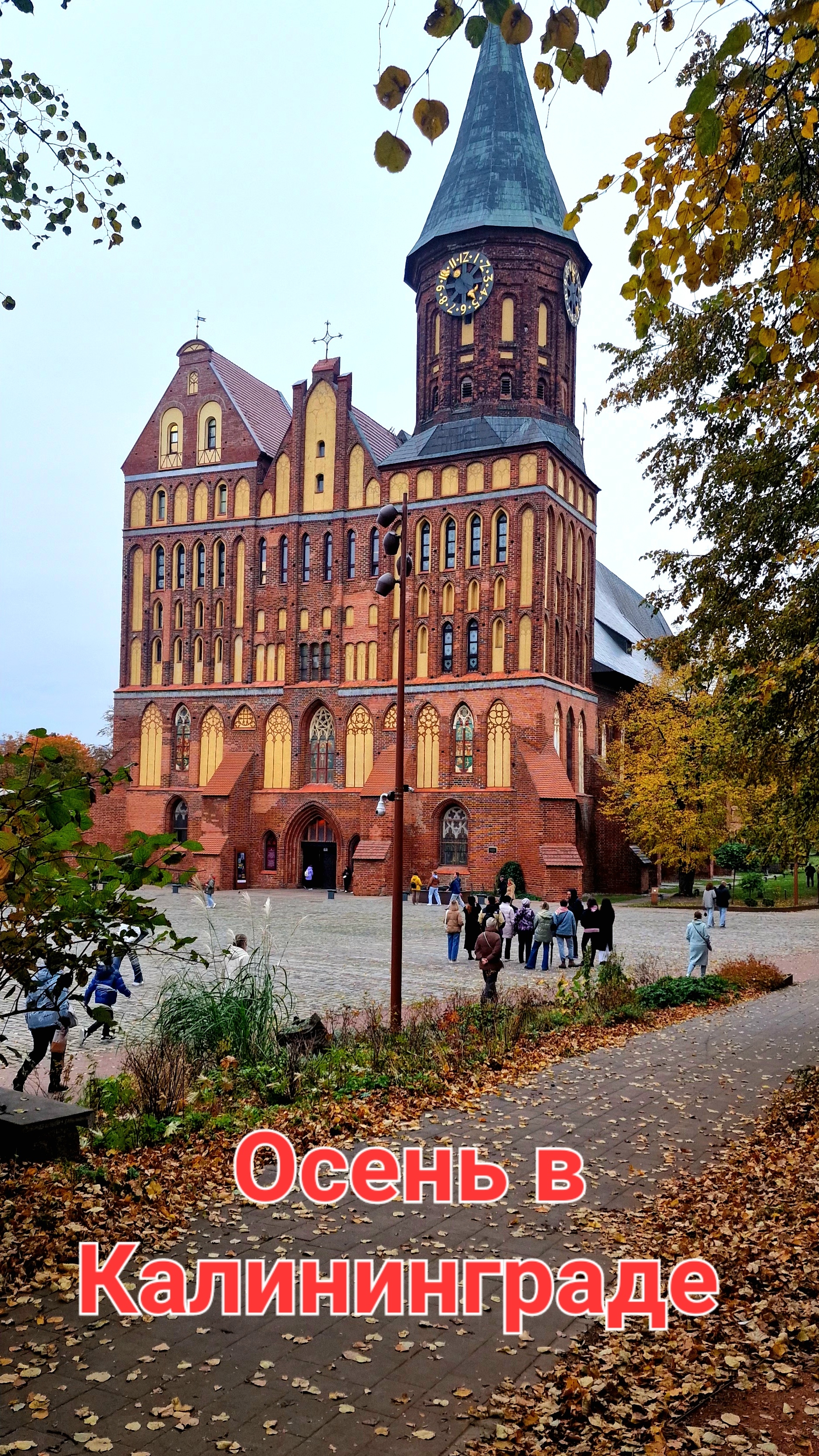 Из Германии в Россию. Наша жизнь в Калининграде. Осенний Калининград.
