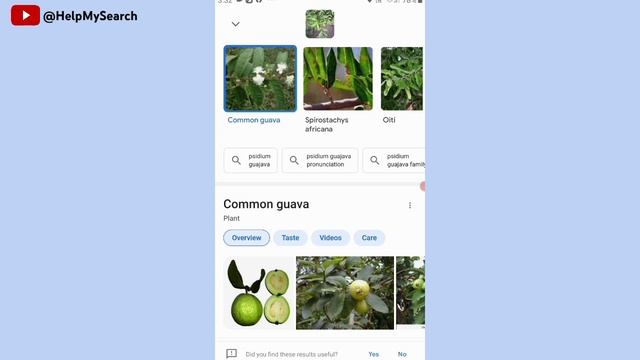 Google Lens Kaise Use Kare | How to Use Google Lens on Android | Google Lens All Features 2024