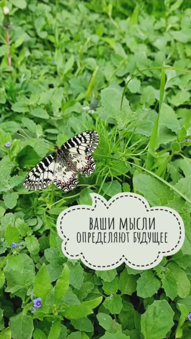 Ваша Сила в Вашей Вере 💚
#здоровье #вера #осознанность #исцеление #психосоматика
t.me/tarot_healing