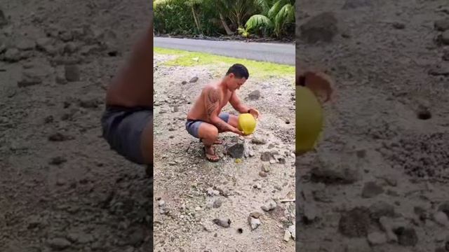 Как прожить на Таити