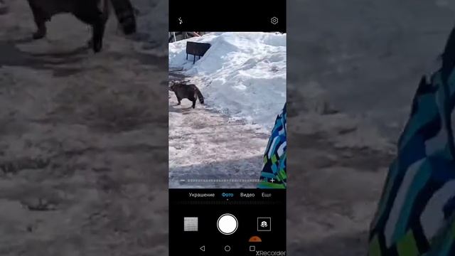 Видио 2 в 1 обзор на улицу и на прицеп