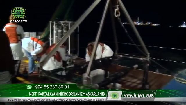 NEFTİ PARÇALAYAN MİKROORQANİZM AŞKARLANIB
