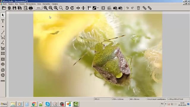 Мультифокус  - жук. Altami Studio