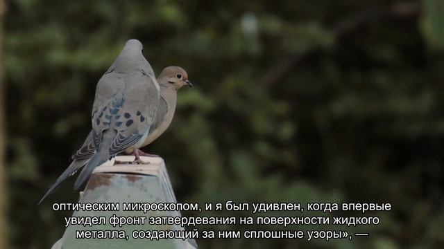 Ученые открыли металлические жидкие сплавы с рисунком зебры или леопарда