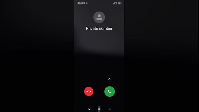 Xiaomi Android 11 incoming call with theme (Screen Video)