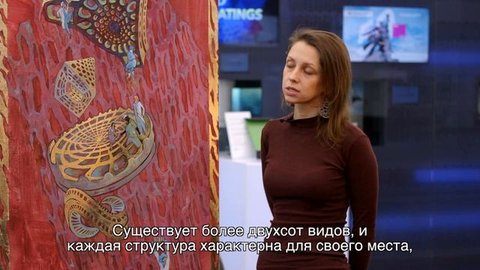 Лыкова Мария ДИАТОМЕИ