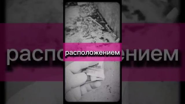 Ищи деньги под ногами
