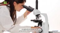 Hướng dẫn sử dụng kính hiển vi 3 mắt dòng bscope của hãng Euromex Hà Lan