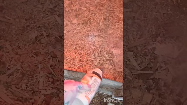 5 ШАГОВ ПОДГОТОВКИ ПТИЦ К ЗИМЕ