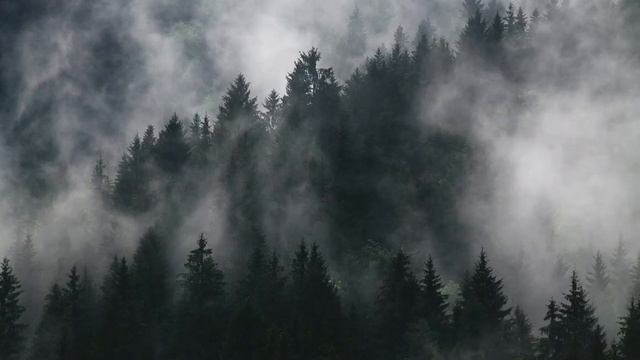 Заказ на ос + пара для моей дочки💕 ( для Мурико)