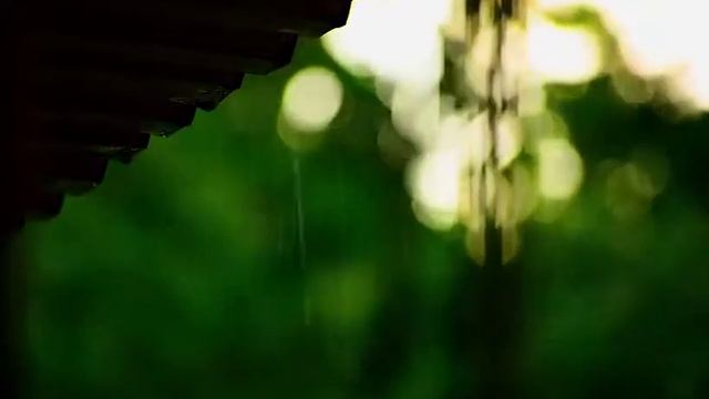 Rain Sounds For Sleep Baby | Sleep, Study, Focus With Rainstorm | ❤️ #rain #sleep #TinRoof