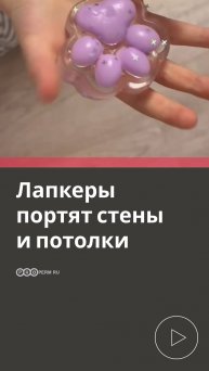 ЛАПКЕРЫ ПОРТЯТ СТЕНЫ И ПОТОЛКИ