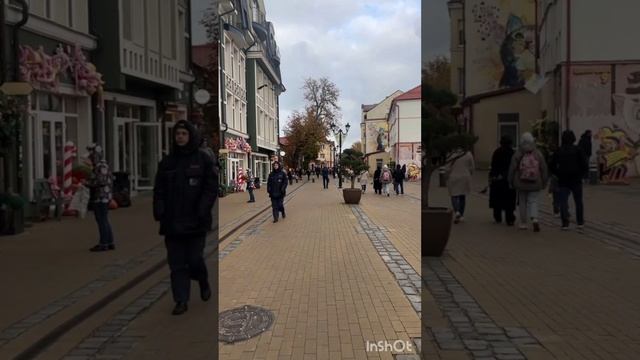 Зеленоградск в октябре, Калининградская область: город, кошки, море