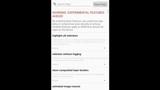 Experimental webview features active | experimental webview feature active
