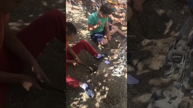 Сидят,копают алмазы в песке