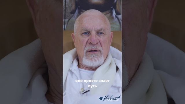 Внутреннее знание