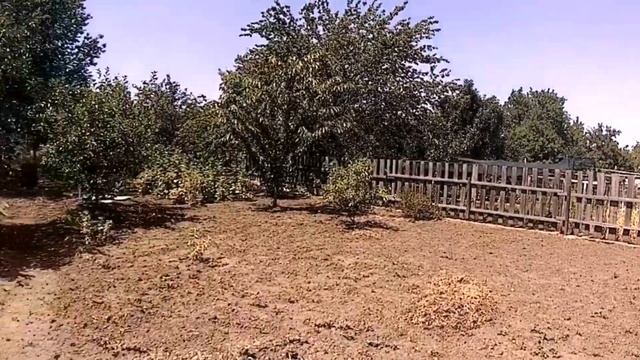 Экшн-камера ThiEYE i60+ в 40 градусов жары